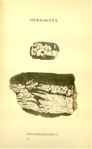 n113_w1150