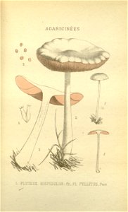 n68_w1150