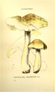 n217_w1150