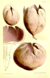 n359_w1150