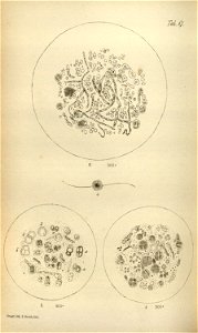 n202_w1150