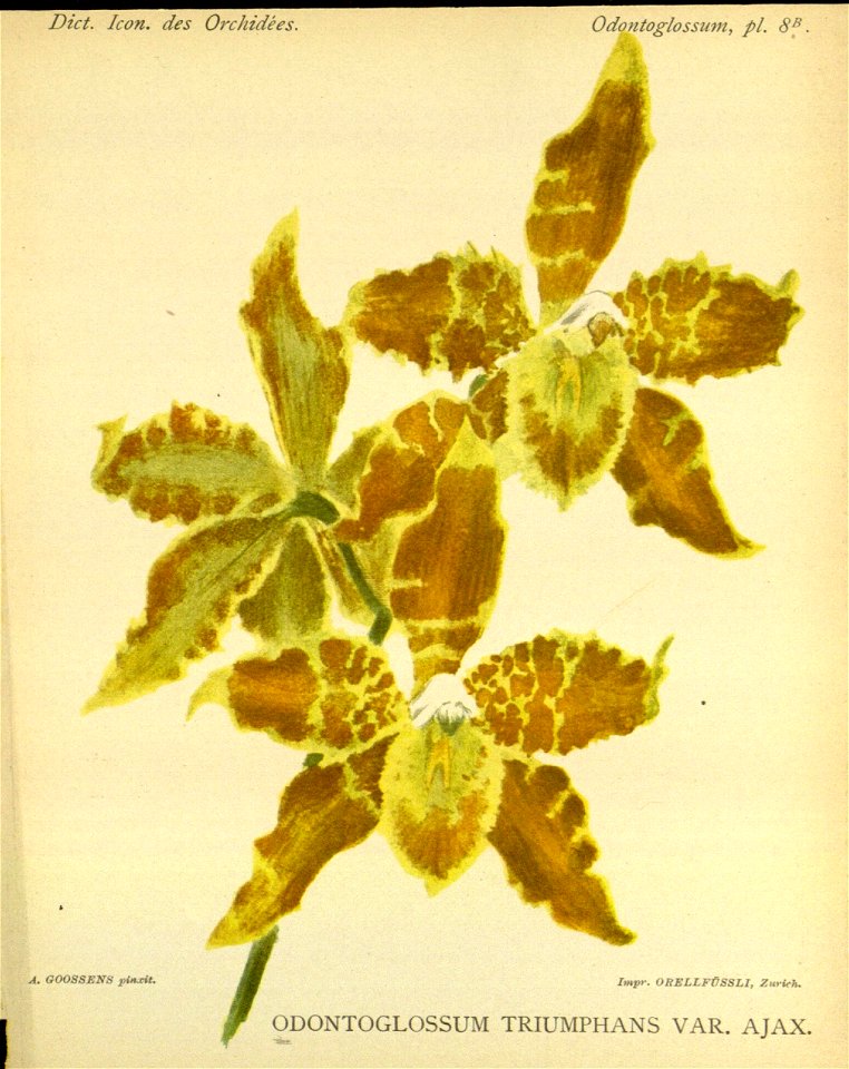n118_w1150