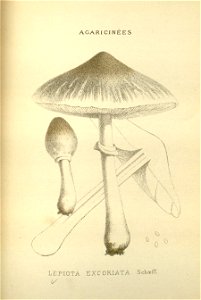 n156_w1150