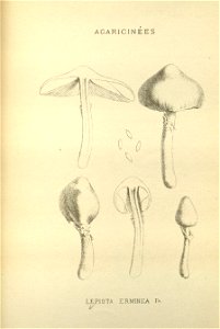 n155_w1150