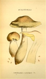 n207_w1150