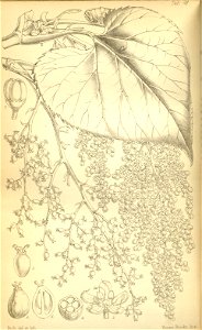 n378_w1150