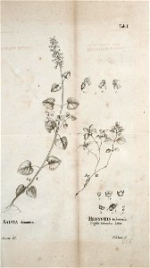 n468_w1150