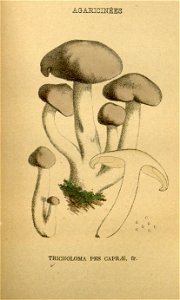 n206_w1150