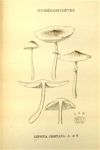 n153_w1150