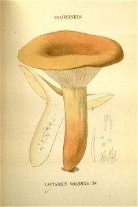 n138_w1150