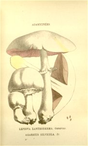 n99_w1150