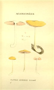 n69_w1150