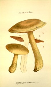 n233_w1150