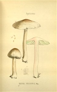 n105_w1150