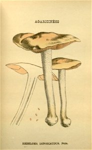 n45_w1150