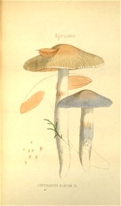 n217_w1150