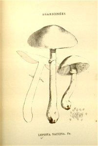 n164_w1150