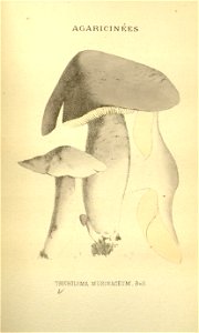 n200_w1150