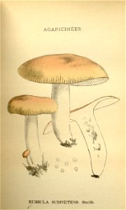 n155_w1150