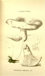 n125_w1150