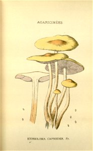 n81_w1150