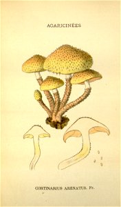n193_w1150