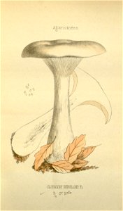 n133_w1150