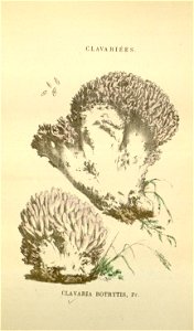 n102_w1150