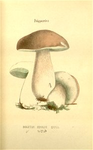 n57_w1150
