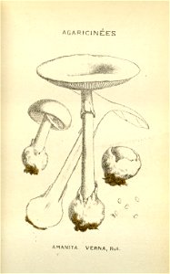 n27_w1150