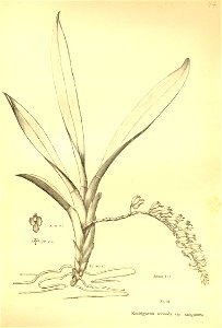 n196_w1150