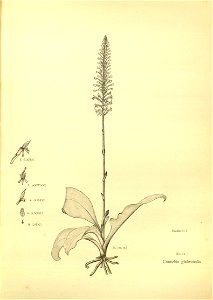 n166_w1150