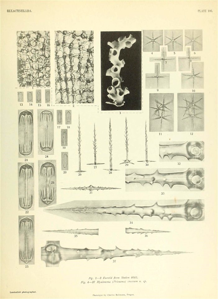 n834_w1150