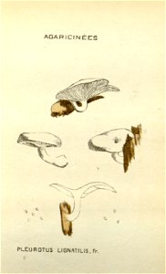 n56_w1150