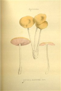 n169_w1150
