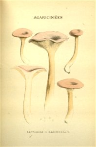 n123_w1150