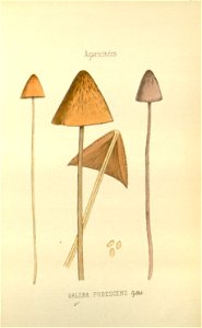 n33_w1150