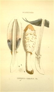 n175_w1150