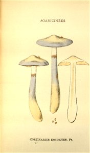 n219_w1150