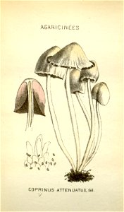 n174_w1150