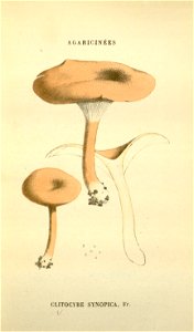 n143_w1150