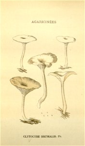 n113_w1150