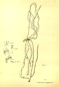 n207_w1150
