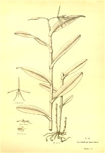 n177_w1150