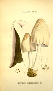 n187_w1150