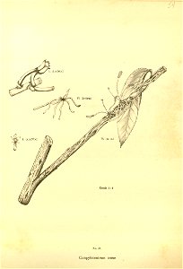 n206_w1150
