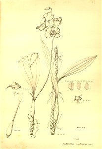 n191_w1150