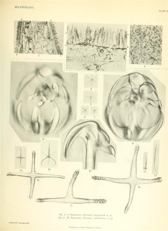n814_w1150