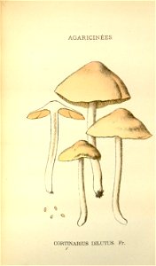 n216_w1150