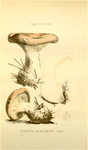 n111_w1150